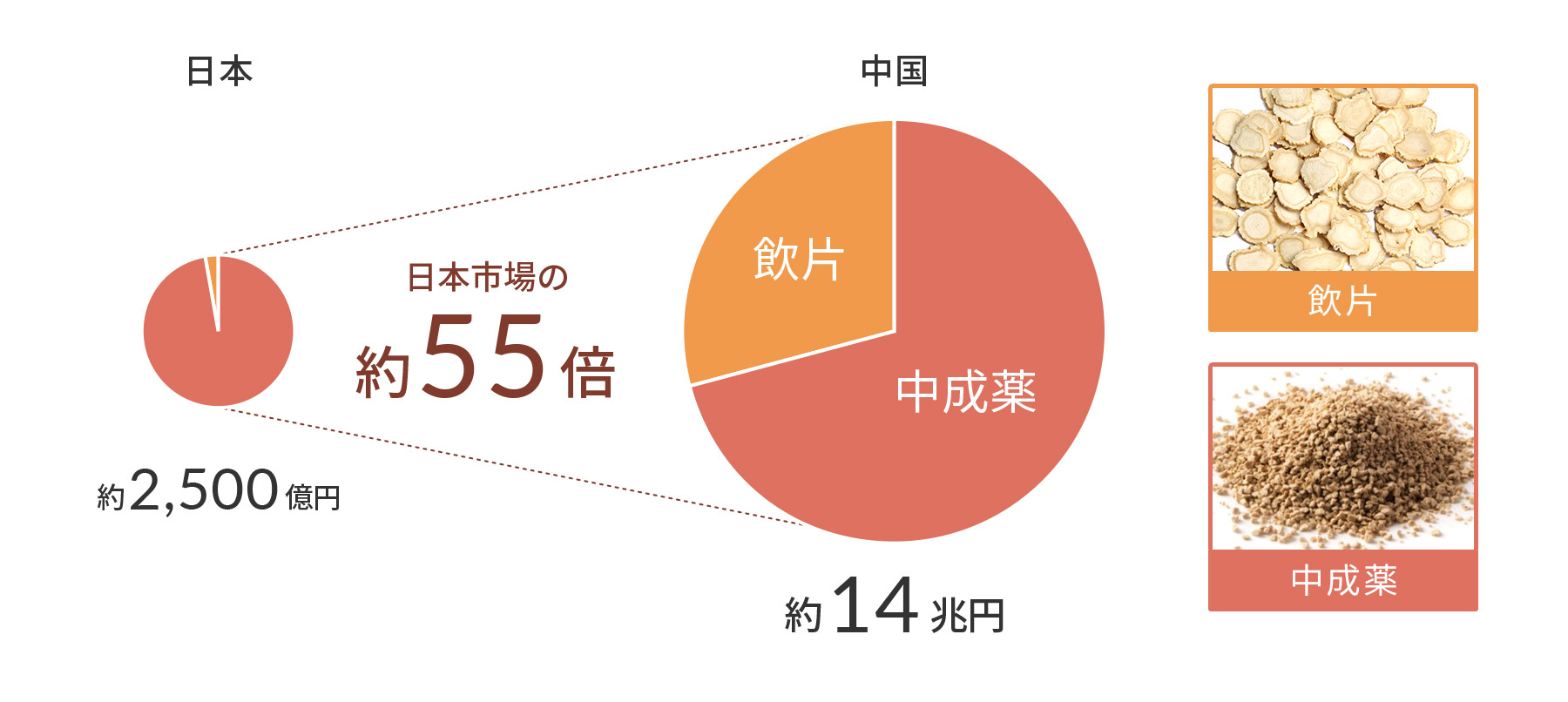 日本と中国における飲片と中成薬の割合比較