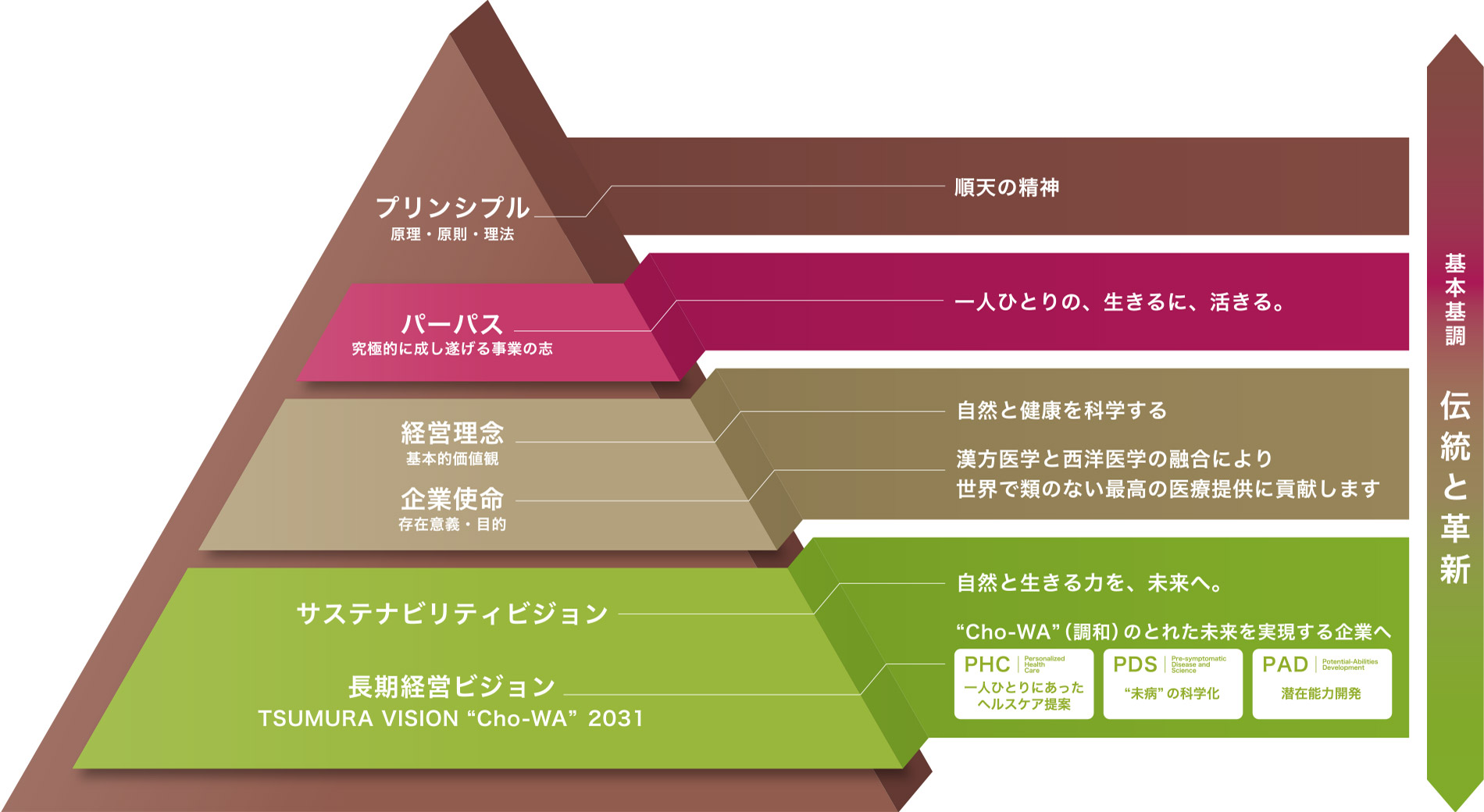 TSUMURA GROUP DNA Pyramidの概念図