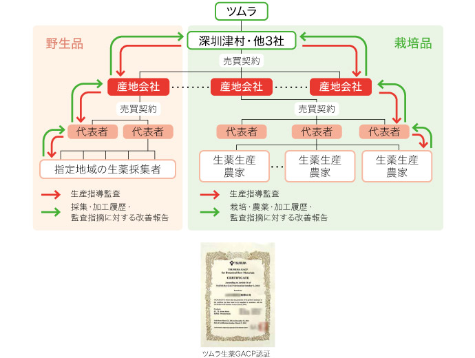 中国での生薬GACPによる生薬生産