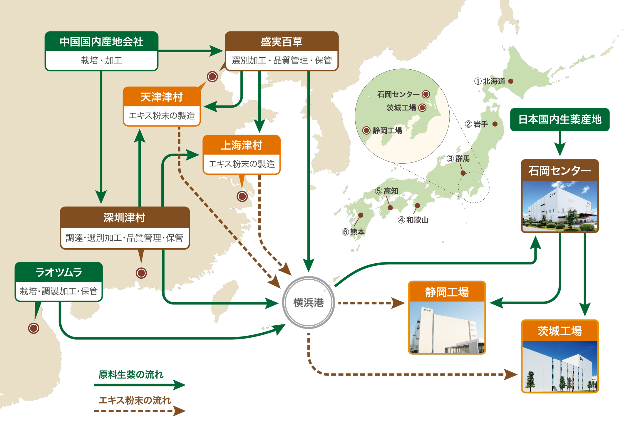 原料生薬栽培から製造までの主要な流れ