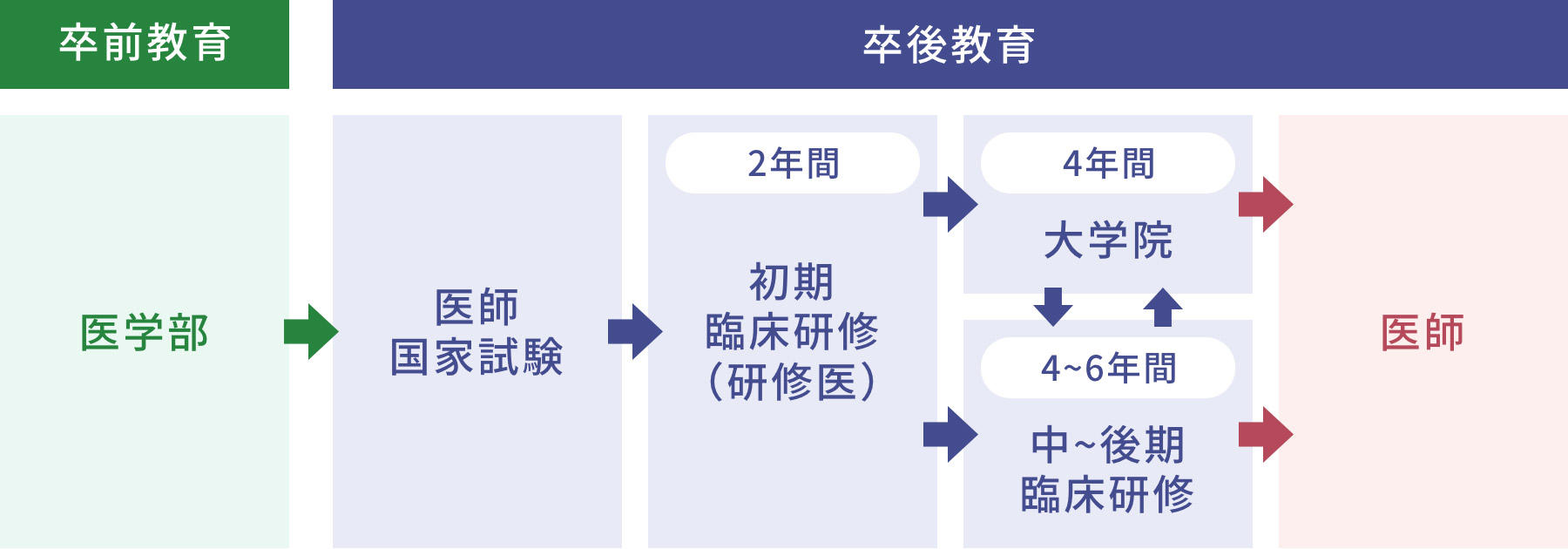 漢方を学ぶための卒後教育プログラムの工程