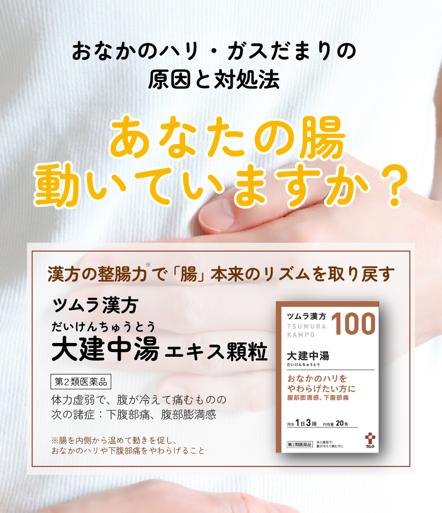 漢方の整腸力で「腸」本来のリズムを取り戻す ツムラ漢方 大建中湯 エキス顆粒