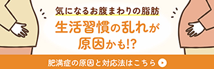 肥満症を改善（防風通聖散ブランドサイト）