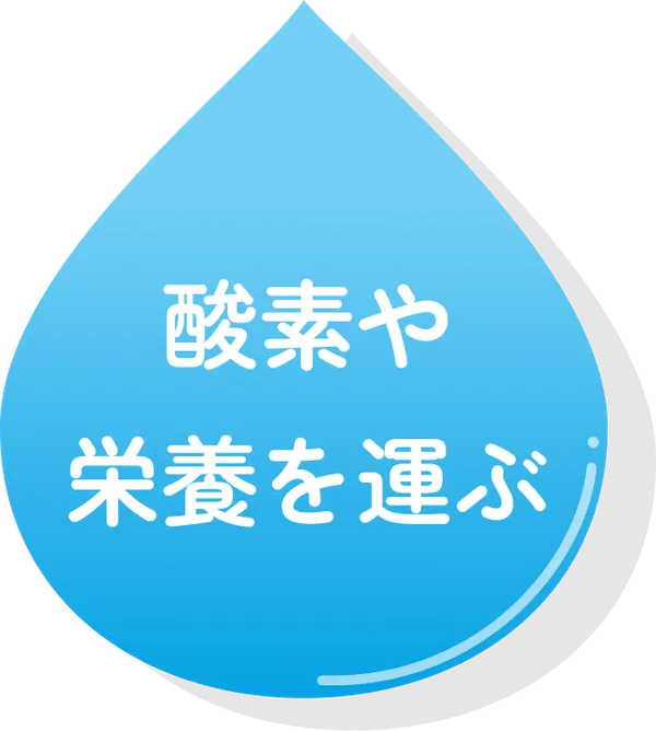 酸素や栄養を運ぶ