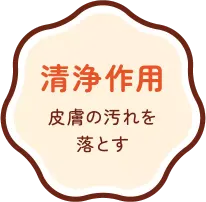 清浄作用 皮膚の汚れを落とす