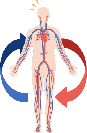 温熱作用 イメージ