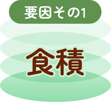 要因その1 食積