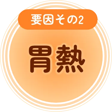 要因その2 胃熱