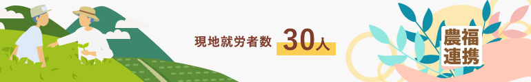 現地就労者数30人(2019年度時点)