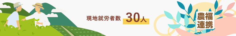 現地就労者数30人（2019年度時点）