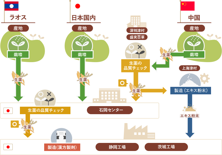 厳選した生薬を届けるための工程　ラオス　産地　栽培　生薬の品質チェック　石岡センター　製造　エキス粉末　日本　中国　漢方製剤