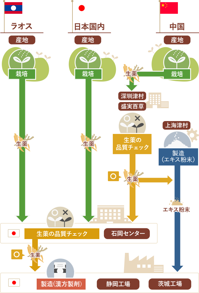 厳選した生薬を届けるための工程　ラオス　産地　栽培　生薬の品質チェック　石岡センター　製造　エキス粉末　日本　中国　漢方製剤