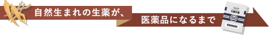 自然生まれの生薬が、医薬品になるまで