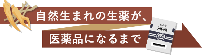 イラストで分かる 漢方薬 漢方製剤の品質とは ツムラの品質へのこだわり Hello Tsumura