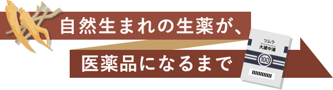 自然生まれの生薬が、医薬品になるまで