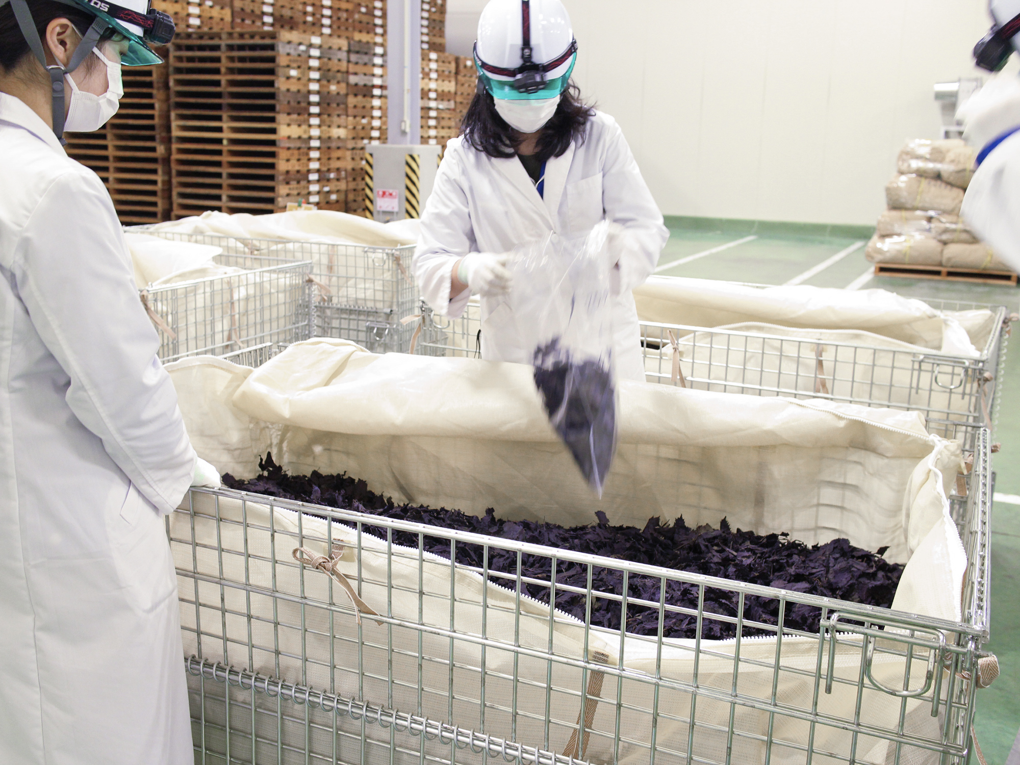 生薬としての厳しい基準を満たしているか何度もチェック