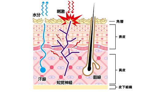 更年期の期間