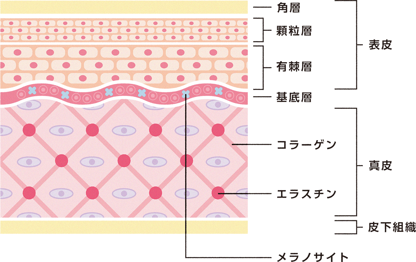 三浦 麻由佳 先生