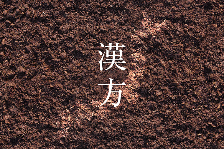 日本で生まれた「漢方」という考え方
