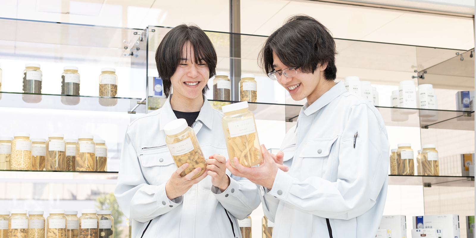 先輩社員の職場での様子